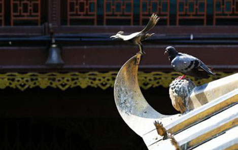 找到(dào)自(zì)己的(de)人(rén)生(shēng)軌迹