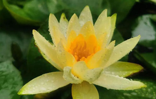 處事(shì)之道(dào)